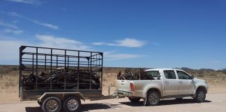 zarejestrować przyczepkę samochodową