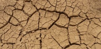 Jaki jest podział maszyn?