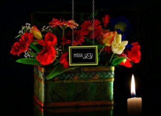 Ile pali 435i? Ile pali 435i?