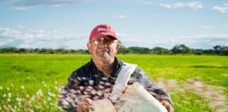 Na czym polega siew Bezorkowy?