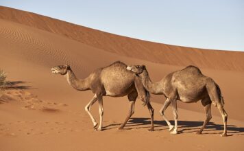 Jak rozmasować sztywny kark?