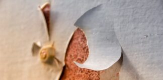 Jak naprawić odprysk lakieru na masce?