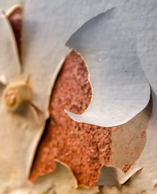 Jak naprawić odprysk lakieru na masce? Jak naprawić odprysk lakieru na masce?