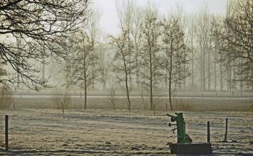 Czego wypożyczalnie otworzyć? Czego wypożyczalnie otworzyć?