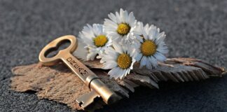 Jak otworzyć pokrywę silnika?