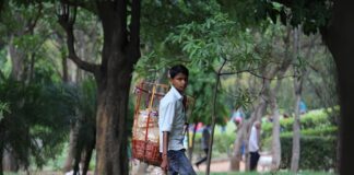 Jakie są firmy przyczep kempingowych?