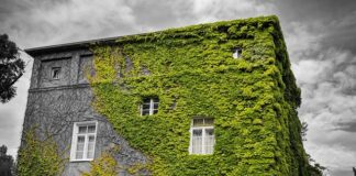 Jaka przyłbicą True Color?