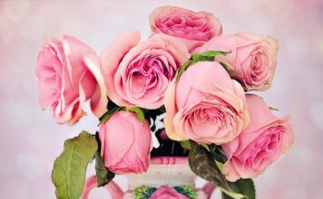 Czym się rożni MAN TGA od TGX? Czym się rożni MAN TGA od TGX?