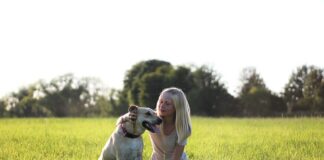 Czym najlepiej wygłuszyć nadkola?