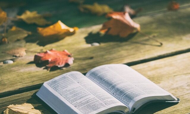 Jak smażyć pierś z kurczaka aby była soczysta? Jak smażyć pierś z kurczaka aby była soczysta?