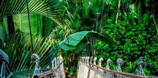 Ile trwa kurs na montera rusztowań?