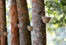 Co można zalać żywica? Co można zalać żywica?