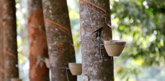 Co można zalać żywica?