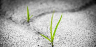 Czy ząb na włóknie szklanym trwałość?