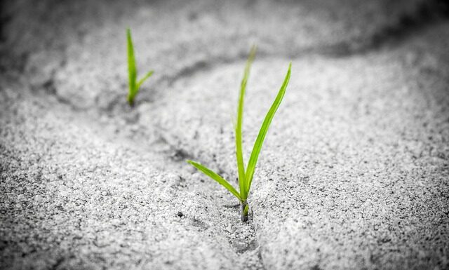 Czy ząb na włóknie szklanym trwałość?