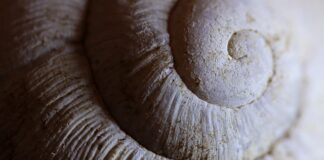 Ile kosztuje nałożenie powłoki ceramicznej na samochód?