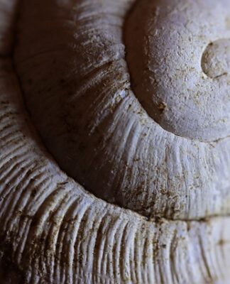 Ile kosztuje nałożenie powłoki ceramicznej na samochód? Ile kosztuje nałożenie powłoki ceramicznej na samochód?