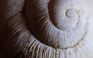 Ile kosztuje nałożenie powłoki ceramicznej na samochód?