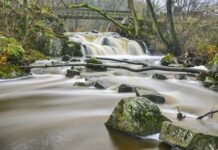 Czy Scania należy do VW? Czy Scania należy do VW?