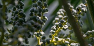 Co zawsze warto mieć w samochodzie?