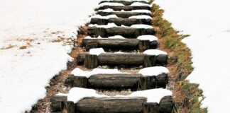 Jak zlikwidować odpryski lakieru na masce?