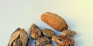 Ile litrów oleju do Matiza?