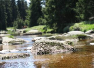 Co to znaczy Izera? Co to znaczy Izera?