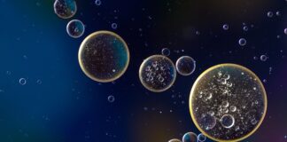 Ile wchodzi oleju do skrzyni biegów Daewoo Matiz?