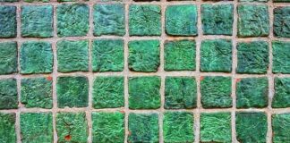 Co na taras zamiast płytek tanio?