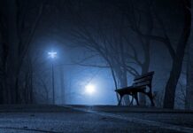 Czy Polska produkuje ciężarówki?