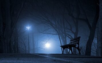 Czy Polska produkuje ciężarówki? Czy Polska produkuje ciężarówki?