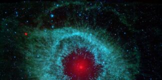 Jaka jest najlepsza ostrzałka do noży?