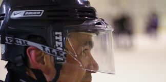 Jaka przyłbicą pasywna?