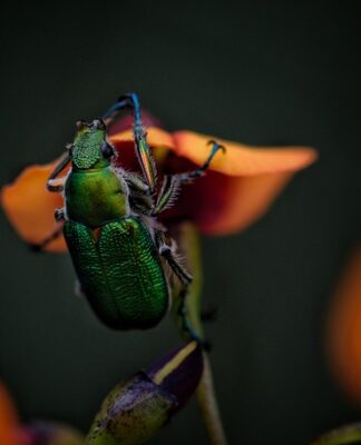 Ile biegów ma Żuk?