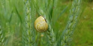 Jak uszczelnić maskę w samochodzie?