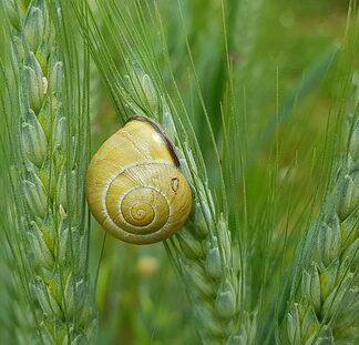 Jak uszczelnić maskę w samochodzie?