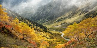 Co to jest strefa niebezpieczna maszyny?