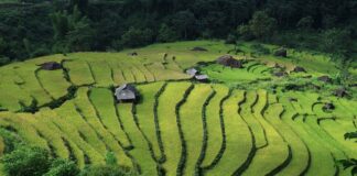 Co jest dobre na rysy samochodowe?