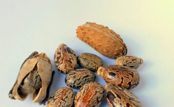 Na jakim oleju silnik pracuje ciszej? Na jakim oleju silnik pracuje ciszej?