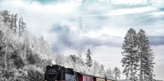 Ile trwa transport Toyoty z Mszczonowa?