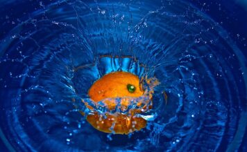 Jakie są płyny pod maską samochodu?