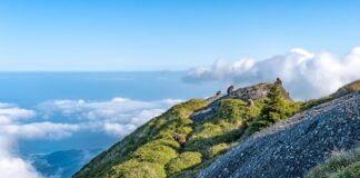 Jaka jest różnica między MIG a mag?