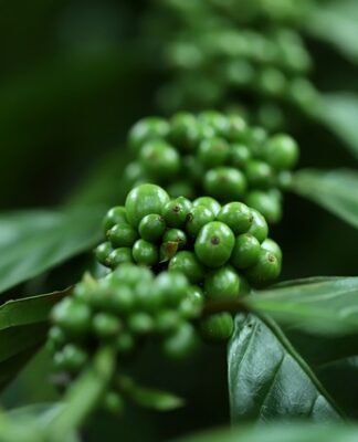 Co opłaca się uprawiać na małym areale?