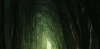 Jak usunąć zielony nalot z markizy?