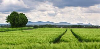 Jaki rozstaw śrub Matiz?