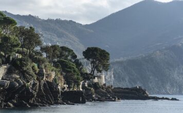 Ile kosztuje litr żywicy epoksydowej? Ile kosztuje litr żywicy epoksydowej?