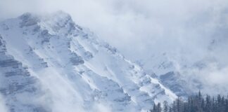 Kto może zrobić przegląd drabiny?