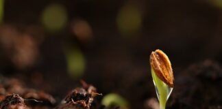 Jakim papierem pod podkład?