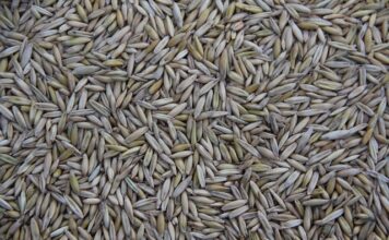 Kto produkuje samochody MAN? Kto produkuje samochody MAN?