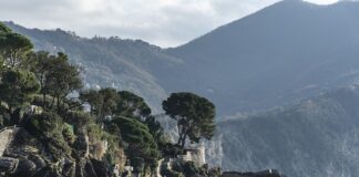 Ile kosztuje założenie wspomagania w matizie?